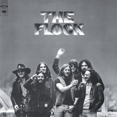 MUSIC ON VINYL Flock Vinyl MUSIC ON VINYL Flock Vinyl