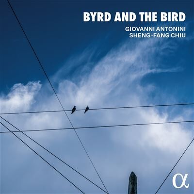 Alpha BYRD AND THE BIRD Alpha BYRD AND THE BIRD