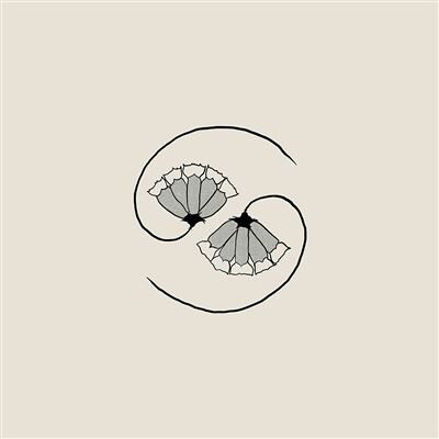 Modulor G_D'S Pee At State'S End (Lp+10") Modulor G_D'S Pee At State'S End (Lp+10")