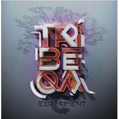Bigwax Distribution EXPERIMENT/LP Bigwax Distribution EXPERIMENT/LP