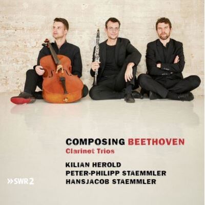 AVI Composing Beethoven - Ludwig Van Beethoven AVI Composing Beethoven - Ludwig Van Beethoven