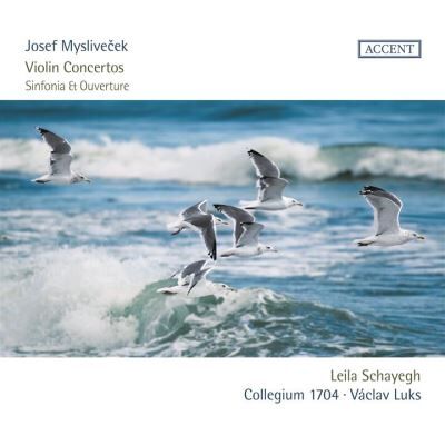 Accent CONCERTOS POUR VIOLON/SIN Accent CONCERTOS POUR VIOLON/SIN