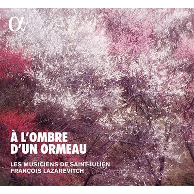 Alpha A L Ombre D Un Ormeau Alpha A L Ombre D Un Ormeau