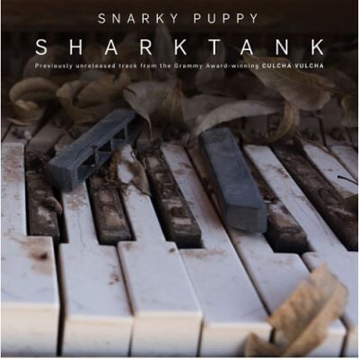 Soundworks Cnt SHARK TANK/LP Soundworks Cnt SHARK TANK/LP