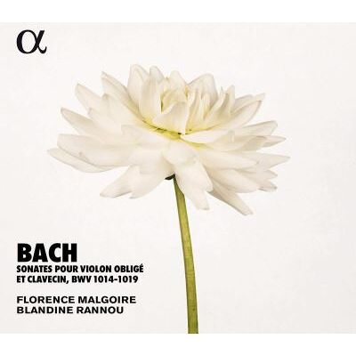 Alpha Sonates Pour Violon Oblig/Malgoire Alpha Sonates Pour Violon Oblig/Malgoire