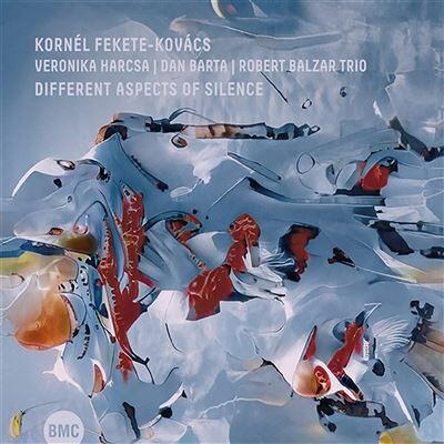 BMC Different Aspects Of Silence - Kornél Fekete-kovács BMC Different Aspects Of Silence - Kornél Fekete-kovács