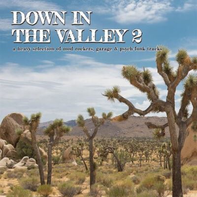 Perfect Toy DOWN IN THE VALLEY 2 (LP) Perfect Toy DOWN IN THE VALLEY 2 (LP)