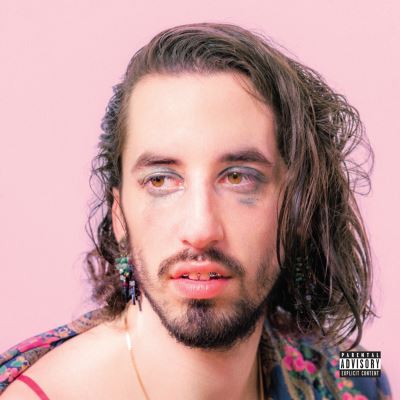IDOL FLIP/2LP IDOL FLIP/2LP
