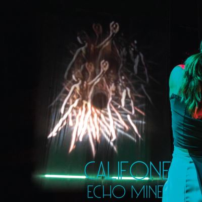 Import ECHO MINE/LP Import ECHO MINE/LP