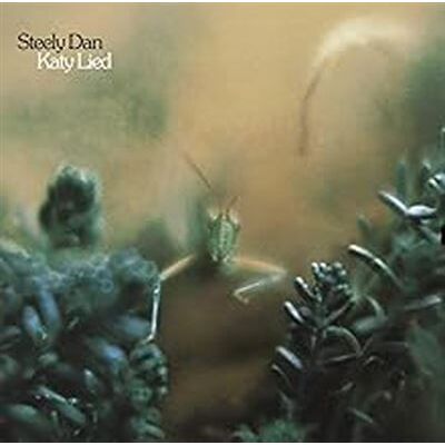 MCA Katy Lied MCA Katy Lied