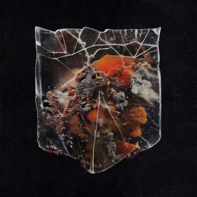 LONGFELLOWDEEDS RECORDS Death & Connection Wit Oranje En Zwart Gemarmerd Vinyl LONGFELLOWDEEDS RECORDS Death & Connection Wit Oranje En Zwart Gemarmerd Vinyl