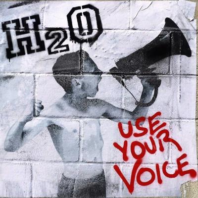 Import Use Your Voice (Limited Vinyl) Import Use Your Voice (Limited Vinyl)