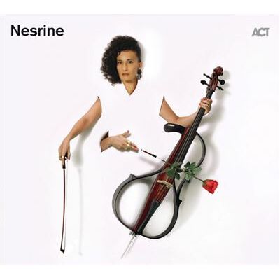 Virgin Music Group B V Cnt NESRINE Virgin Music Group B V Cnt NESRINE