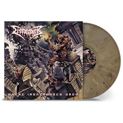 Nuclear Blast Where Ironcrosses Grow LP Coloré Nuclear Blast Where Ironcrosses Grow LP Coloré