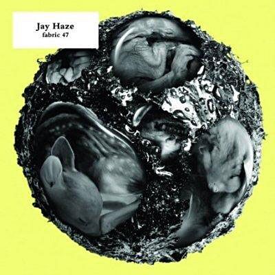 Fabric 47/ Jay Haze - Jay Haze Fabric 47/ Jay Haze - Jay Haze