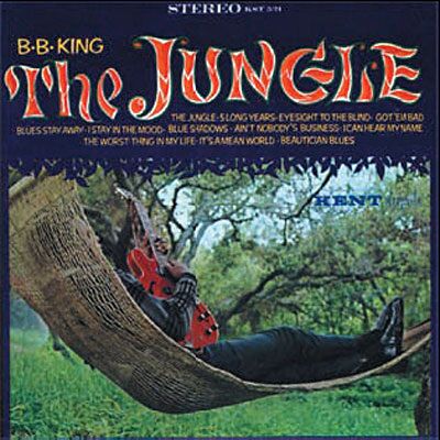 ACE THE JUNGLE ACE THE JUNGLE