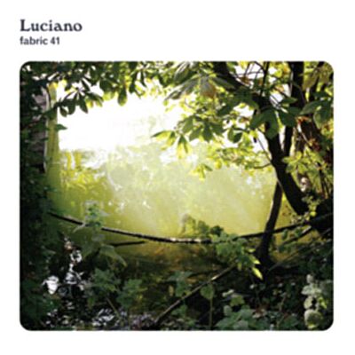 Fabric 41 - Luciano Fabric 41 - Luciano