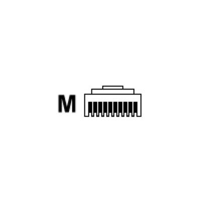 Datalogic - Seriële kabel - RJ-45 (10 pins) (M) - 3.7 m - voor Gryphon I GD4110, GD4130; Magellan 95XX; QuickScan I QD2110, QD2130 Datalogic - Seriële kabel - RJ-45 (10 pins) (M) - 3.7 m - voor Gryphon I GD4110, GD4130; Magellan 95XX; QuickScan I QD2110, QD2130