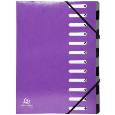 Exacompta EXACPTA TRIEUR 12C IDERAMA VIOL Exacompta EXACPTA TRIEUR 12C IDERAMA VIOL
