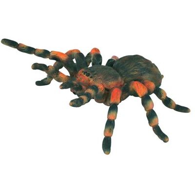 MYGALE MYGALE