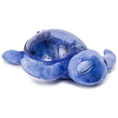 Cloud B CLB-REC-TURTLE-OC Cloud B CLB-REC-TURTLE-OC