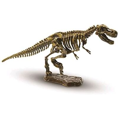 SES Creative T-rex skelet opgraven SES Creative T-rex skelet opgraven