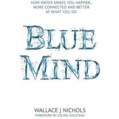 Abacus Blue mind Abacus Blue mind