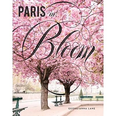 Abrams Paris in bloom Abrams Paris in bloom