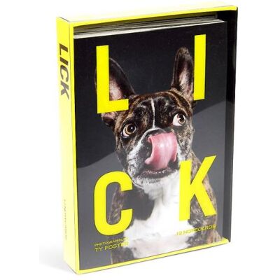 Knock Knock Lick Dogs Notecards Knock Knock Lick Dogs Notecards