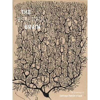Abrams BEAUTIFUL BRAIN. THE DRAWINGS OF SANTIAGO RAMON Y CAJAL Abrams BEAUTIFUL BRAIN. THE DRAWINGS OF SANTIAGO RAMON Y CAJAL
