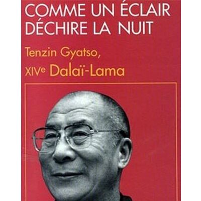 Albin Michel Comme un éclair déchire la nuit Albin Michel Comme un éclair déchire la nuit