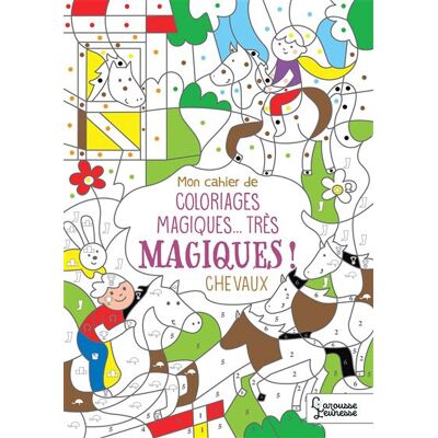 Larousse Chevaux mon cahier de coloriages Larousse Chevaux mon cahier de coloriages