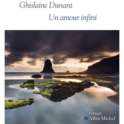 Albin Michel UN AMOUR INFINI Albin Michel UN AMOUR INFINI