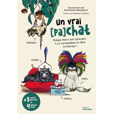 Marie Claire UN VRAI PACHAT Marie Claire UN VRAI PACHAT