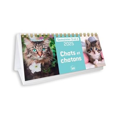 Editions 365 CHATS ET CHATONS Editions 365 CHATS ET CHATONS