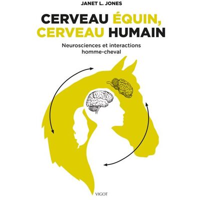 Vigot CERVEAU EQUIN CERVEAU HUMAIN NEUROSCIENCES ET INTERACTION Vigot CERVEAU EQUIN CERVEAU HUMAIN NEUROSCIENCES ET INTERACTION