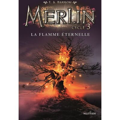 Nathan Merlin cycle 3-3:la flamme eternelle Nathan Merlin cycle 3-3:la flamme eternelle