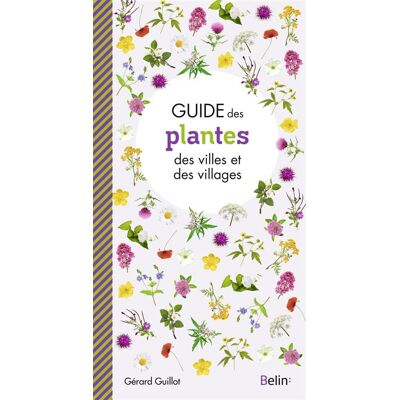 Belin Guide des fleurs des villes et des villages Belin Guide des fleurs des villes et des villages