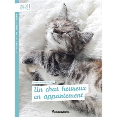 Rustica Un chat heureux en appartement Rustica Un chat heureux en appartement