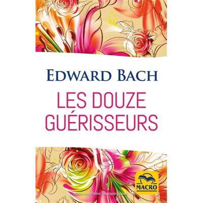 Macro Les douze guérisseurs Macro Les douze guérisseurs