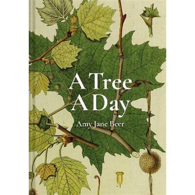 Abrams A Tree a Day Abrams A Tree a Day