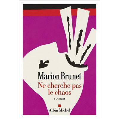 Albin Michel Ne cherche pas le chaos Albin Michel Ne cherche pas le chaos