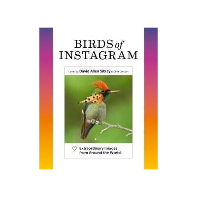 Abrams Birds of Instagram Abrams Birds of Instagram