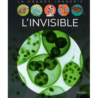 Fleurus L'invisible Fleurus L'invisible