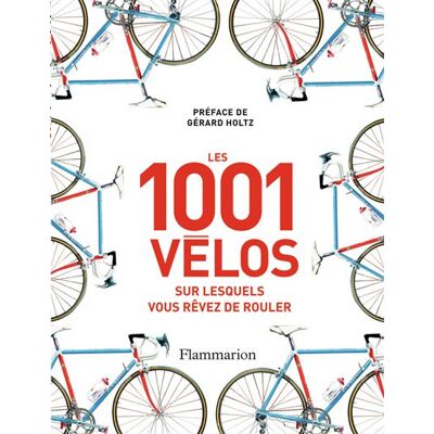 Flammarion Les 1001 velos Flammarion Les 1001 velos