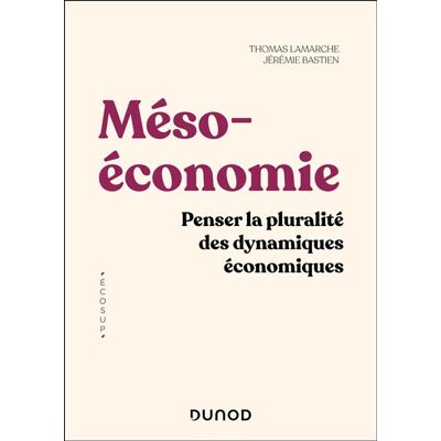 Dunod MESOECONOMIE PENSER UNE ECONOMIE POLITIQUE INDUSTRIELLE ET T Dunod MESOECONOMIE PENSER UNE ECONOMIE POLITIQUE INDUSTRIELLE ET T