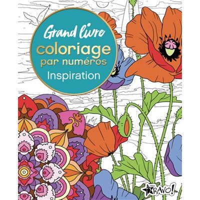 Bravo INSPIRATION GRAND LIVRE DE COLORIAGE Bravo INSPIRATION GRAND LIVRE DE COLORIAGE