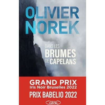 Michel Lafon DANS LES BRUMES DE CAPELANS Michel Lafon DANS LES BRUMES DE CAPELANS