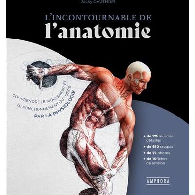 Amphora L'incontournable de l'anatomie Amphora L'incontournable de l'anatomie