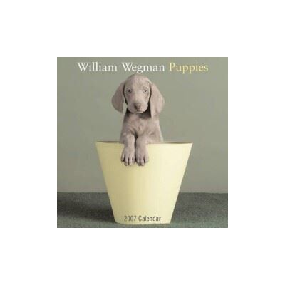 Abrams William Wegman Puppies - 2007 (30x30) Abrams William Wegman Puppies - 2007 (30x30)